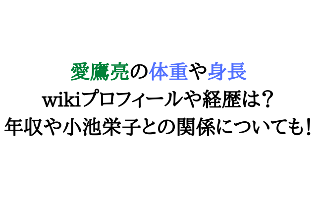 愛鷹亮の体重や身長wikiプロフィールや経歴は 年収や小池栄子との関係についても いろどり