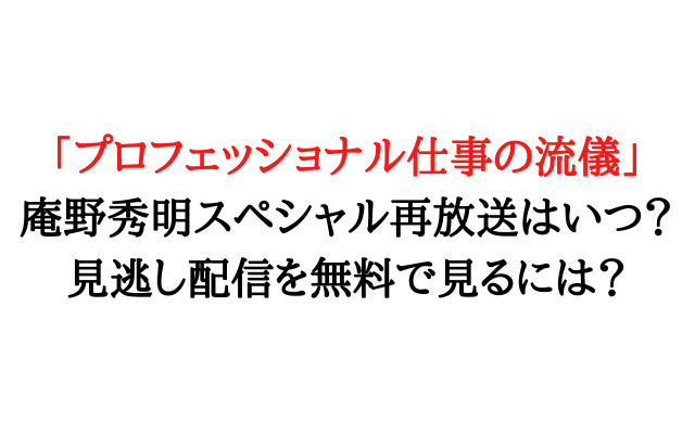 プロフェッショナル庵野見逃し配信や再放送はいつ 無料でお得に見るには いろどり