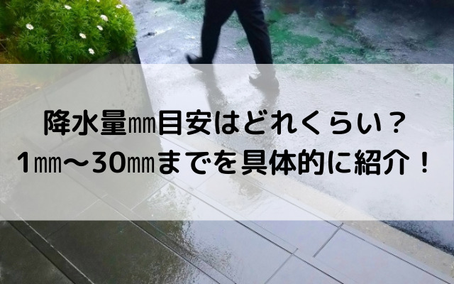 降水量 目安はどれくらい 1 30 までを具体的に紹介 いろどり