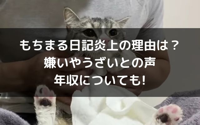 もちまる日記が嫌い 炎上の理由やうざいとの声や年収についても いろどり