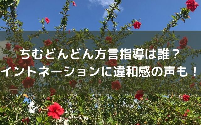 ちむどんどん方言指導は誰 イントネーションに違和感の声も いろどり